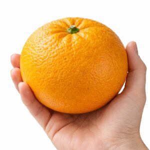 Amanatsu Japanese citrus in hand