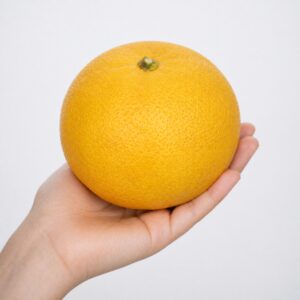 Anseikan Japanese citrus in hand