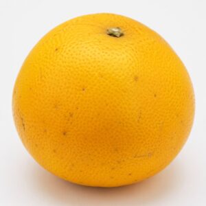 Natsumikan Japanese citrus whole fruit