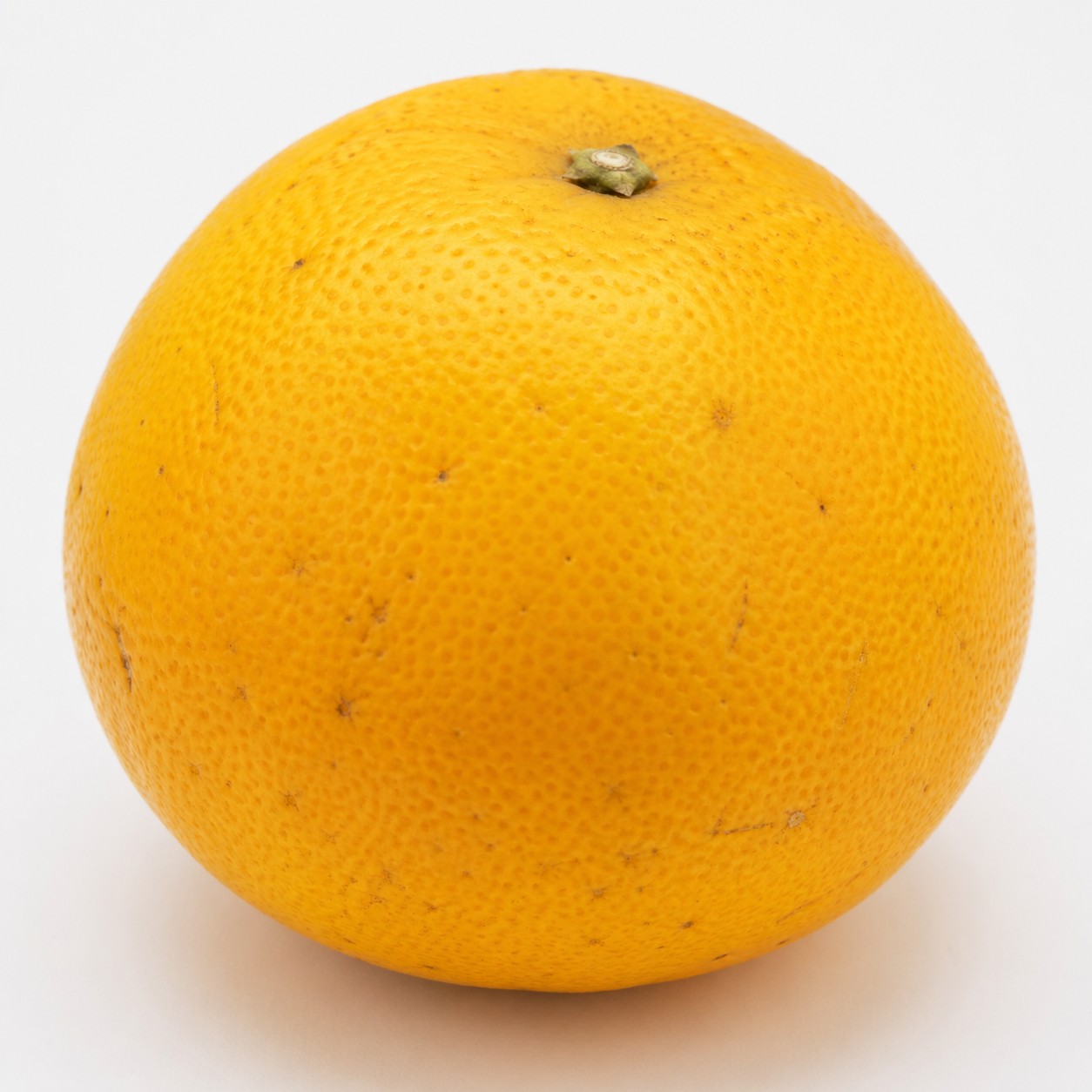 Natsumikan Japanese citrus whole fruit
