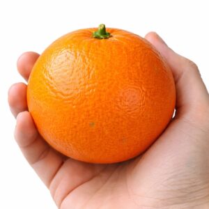 Beni Madonna Japanese citrus in hand
