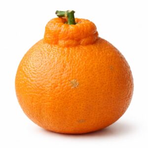Dekopon Japanese citrus whole fruit