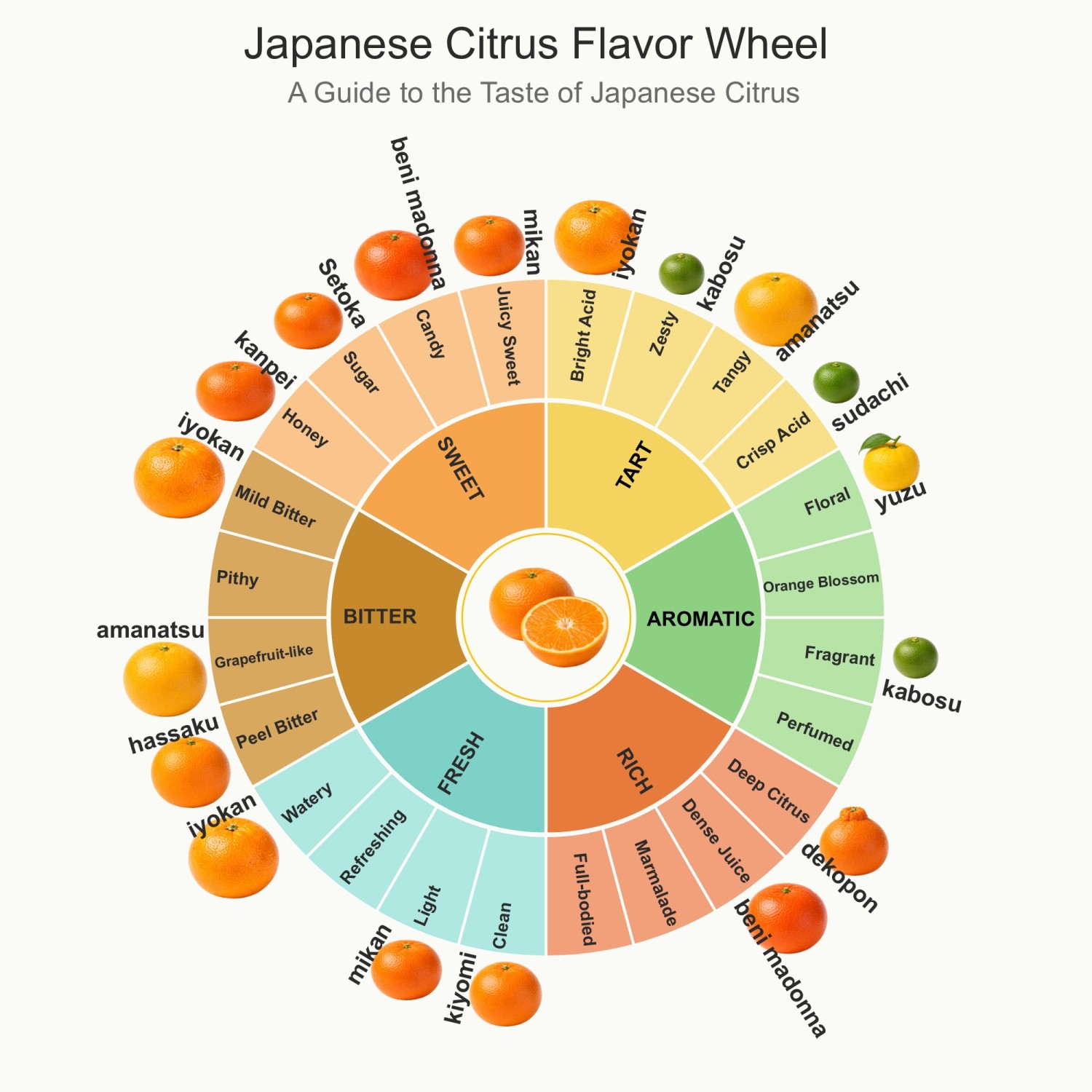 Japanese Citrus Flavor Wheel