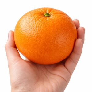 Iyokan Japanese citrus in hand