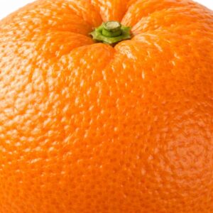 Iyokan Japanese citrus peel texture