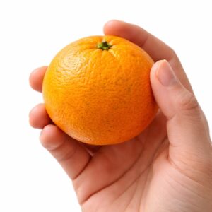 Kiyomi Japanese citrus in hand