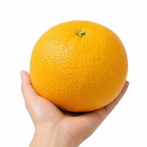 Natsumikan Japanese citrus in hand