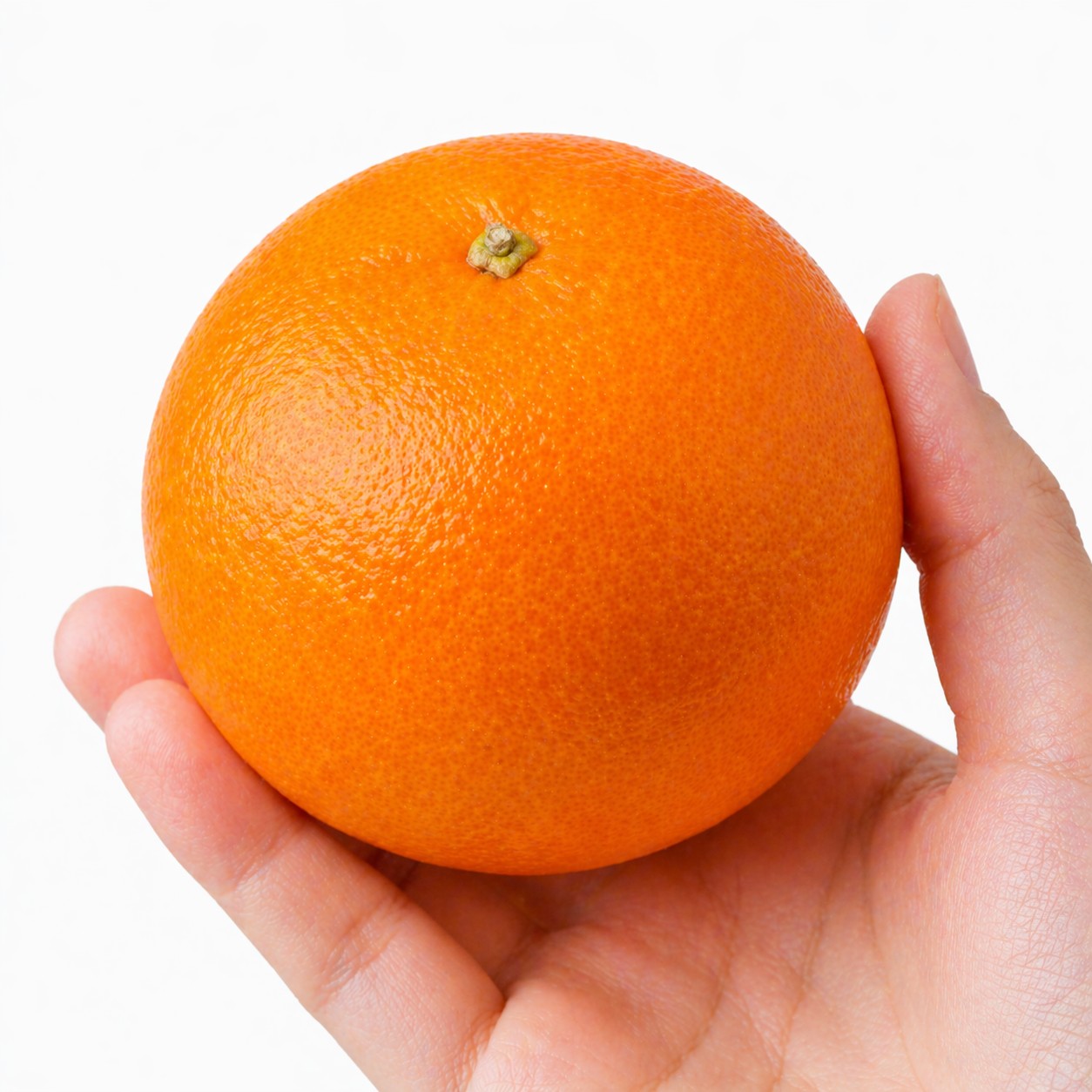 Setoka Japanese citrus in hand