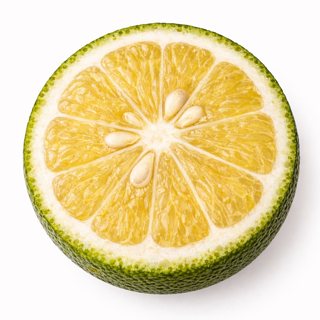 Sudachi Japanese citrus cross section