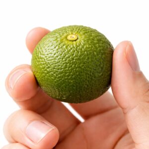 Sudachi Japanese citrus in hand