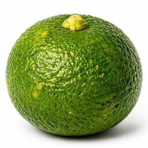 Sudachi Japanese citrus whole fruit