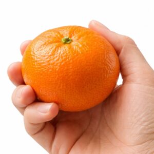 Unshu Mikan Japanese citrus in hand
