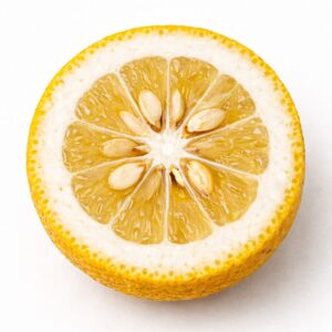 Yuzu Japanese citrus cross section