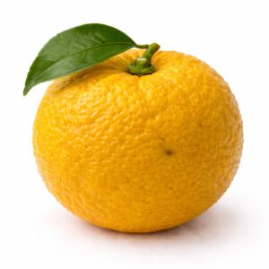 Yuzu Japanese citrus whole fruit