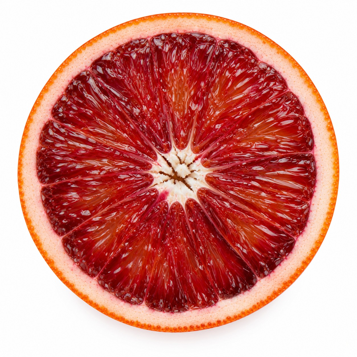 Blood Orange Japanese citrus cross section