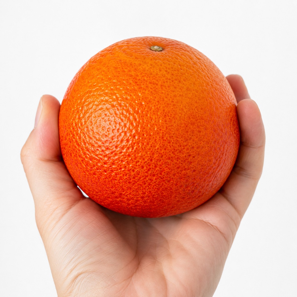 Blood Orange Japanese citrus in hand