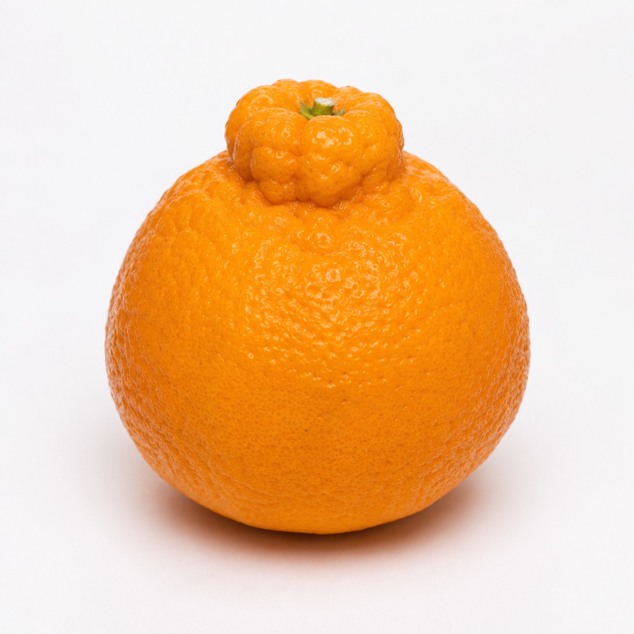 Dekopon Japanese citrus whole fruit