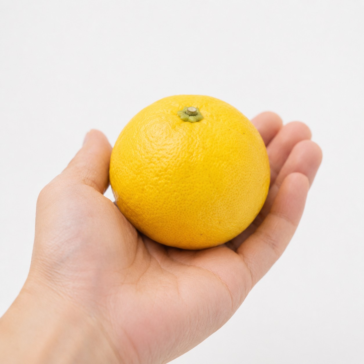 Haruka Japanese citrus in hand