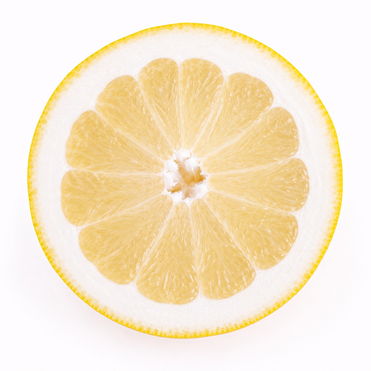 Hyuganatsu Japanese citrus cross section