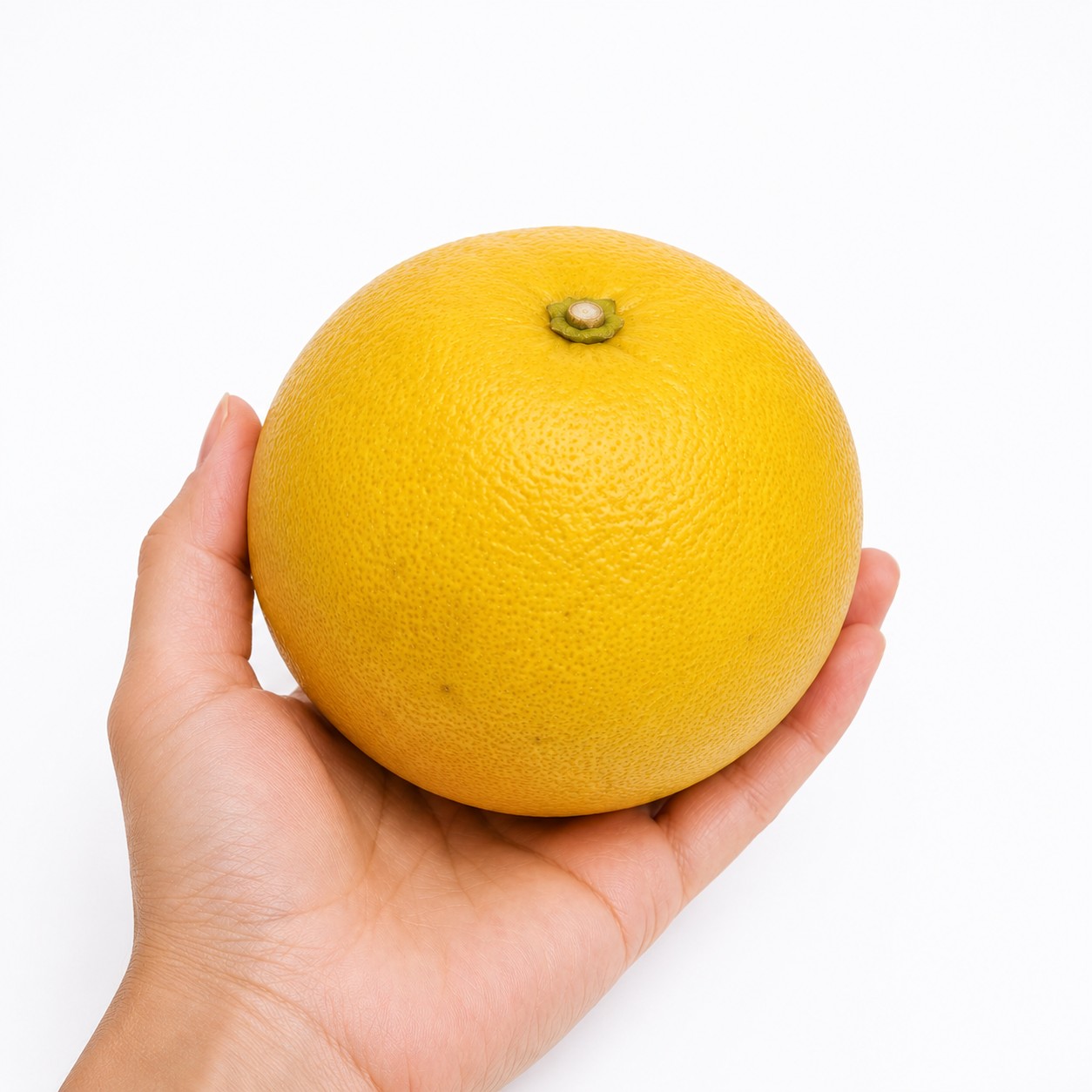 Kawachi Bankan Japanese citrus in hand