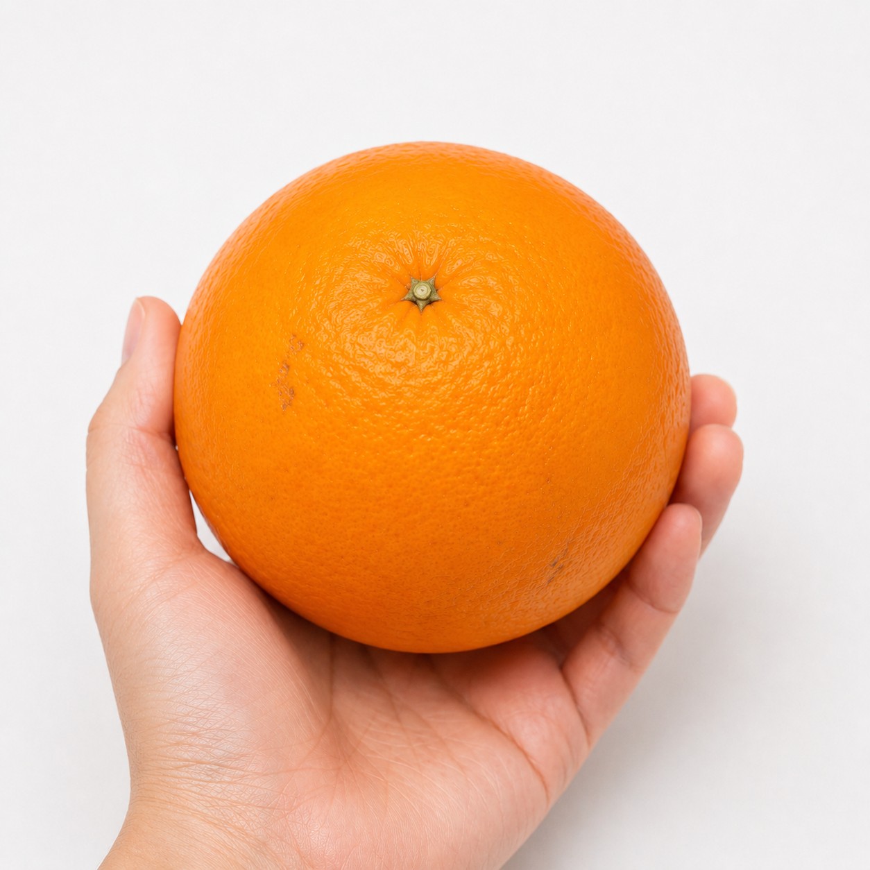 Navel Orange Japanese citrus in hand