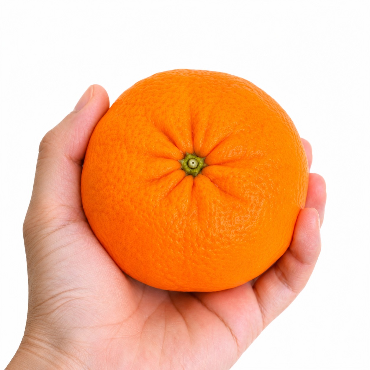 Ponkan Japanese citrus in hand